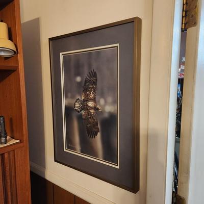 Lot of 10 Framed Photographs Wildlife Eagles , Owls , Cars