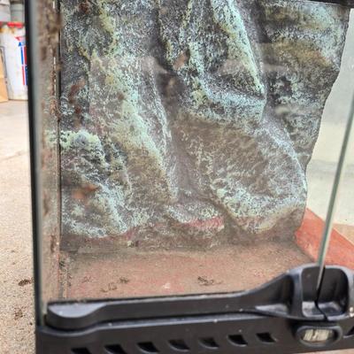 Reptile or rodent glass aquarium and screen lid with small house & terrarium