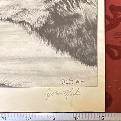 Cynthia Martin Picture