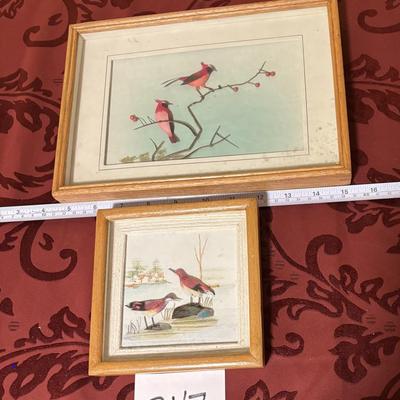 Framed Bird Art