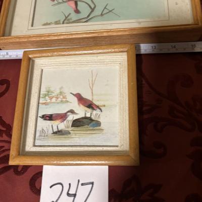 Framed Bird Art