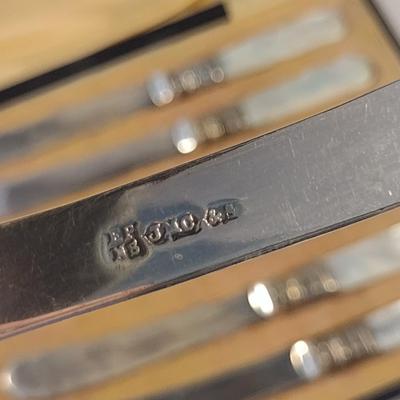 Sale Photo Thumbnail #238: Antique Butter Knives with Mother of Pearl Handles- Storage Case Included