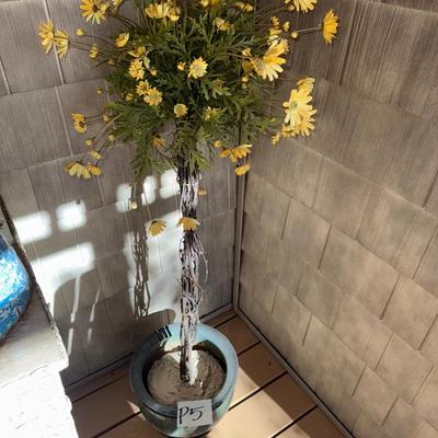 P5-Decorative plant