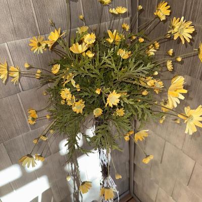P5-Decorative plant