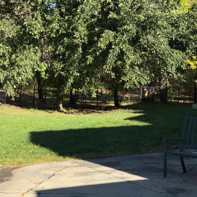 G61-outdoor pet fence