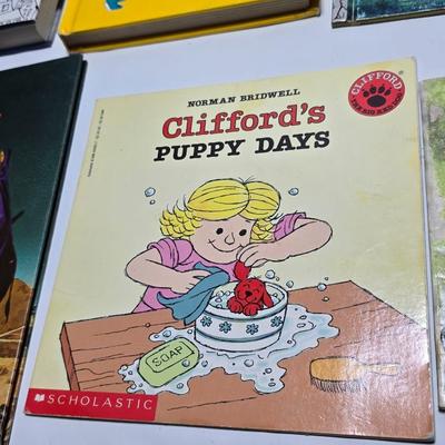 Fun variety of children's books - story time and educational - Fallin up - How in the world - Clifford and more