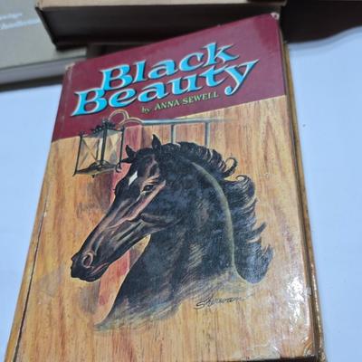 Vintage books - Black beauty - The melted coins - and more