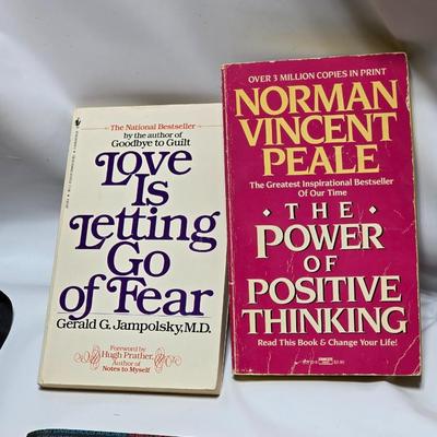 Small variety of paperback books - Elia Kazan - Calder Willingham and other great authors