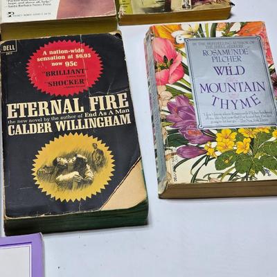 Small variety of paperback books - Elia Kazan - Calder Willingham and other great authors