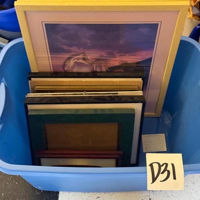 D31-Pictures