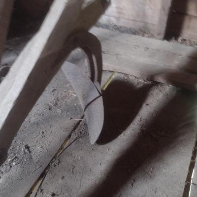Antique Horse Drawn Single Row Plow