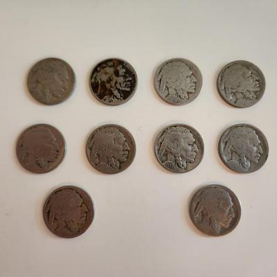 Collection of Buffalo Nickels