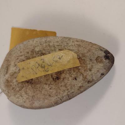 Sale Photo Thumbnail #402: Ancient Greek Oil Lamp Circa 200 B.C..  Curated in Scotland for Cannell & Chaffin.