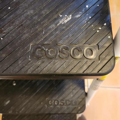 Folding Step Ladder with Tray