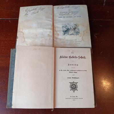 LOT 9: Satan or Christ? by Rev. I. Mench Chambers 1911, German Lutheran Prayer Book 1901, Bible 1884 & More