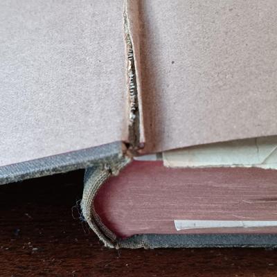 LOT 9: Satan or Christ? by Rev. I. Mench Chambers 1911, German Lutheran Prayer Book 1901, Bible 1884 & More