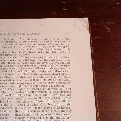 LOT 11: The Little Corporal Magazine 1871, Blaine and Logan 1884, A Brief History of the US 1900 & More