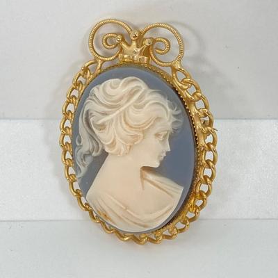 LOT 110: Vintage Jewelry Collection - Cameo Brooch, Premier and Regency Pins and More