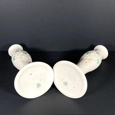 LOT 209: Irish Themed Collection - Belleek, Victoria Austria and More