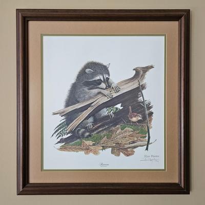 Pencil Signed Ray Harm Raccoon Print (DR-JS)