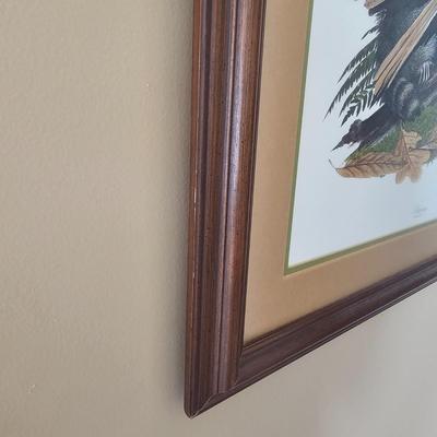 Pencil Signed Ray Harm Raccoon Print (DR-JS)