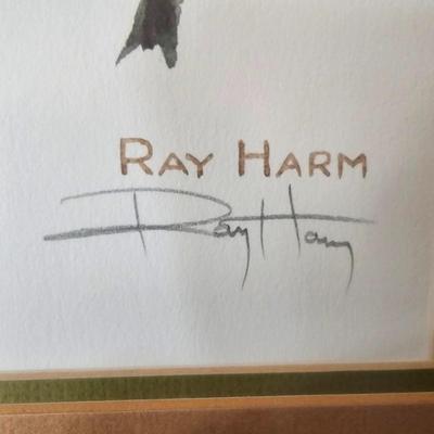 Pencil Signed Ray Harm Raccoon Print (DR-JS)