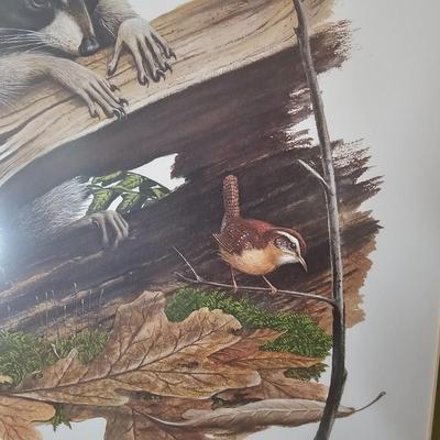 Pencil Signed Ray Harm Raccoon Print (DR-JS)