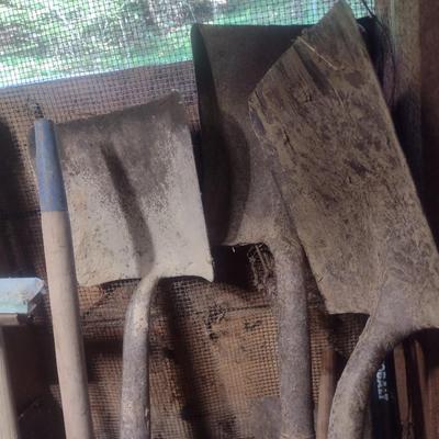 Collection of Shovels Various Sizes and Head Shapes