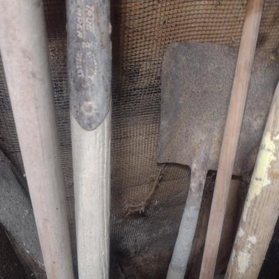 Collection of Shovels Various Sizes and Head Shapes