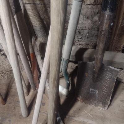 Collection of Shovels Various Sizes and Head Shapes