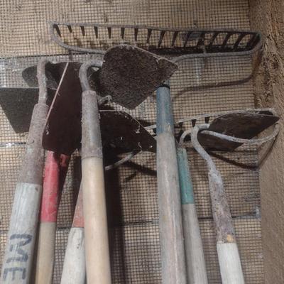 Collection of Hoes and Rakes Various Sizes and Head Shapes