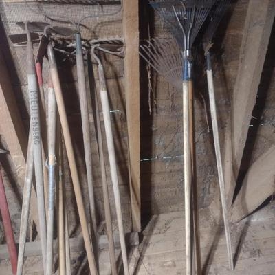 Collection of Hoes and Rakes Various Sizes and Head Shapes