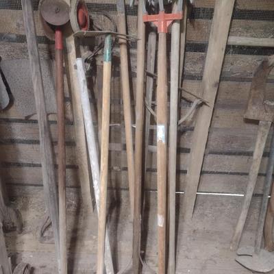 Collection of Garden Hand Tools Various Sizes and Head Shapes