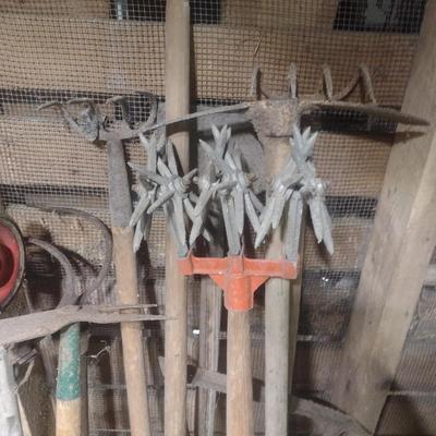 Collection of Garden Hand Tools Various Sizes and Head Shapes