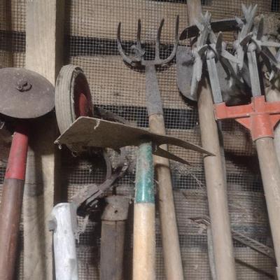 Collection of Garden Hand Tools Various Sizes and Head Shapes