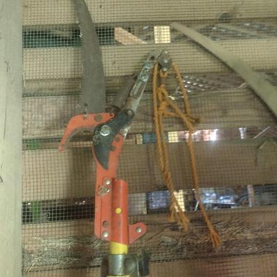 Pair of Limb Saws