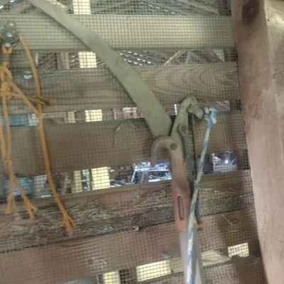 Pair of Limb Saws