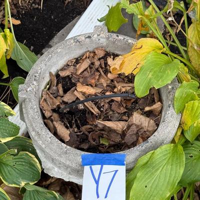 Sale Photo Thumbnail #23: Y7-Concrete Planter