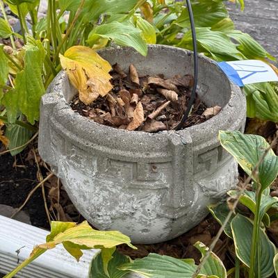 Sale Photo Thumbnail #24: Y7-Concrete Planter