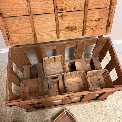 Primitive Berry Crate (PC-BC)
