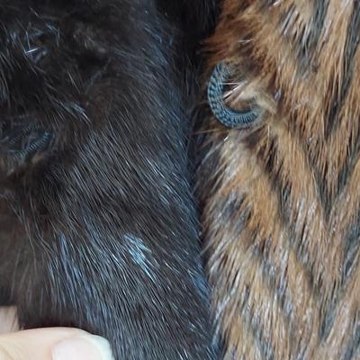 Vintage Chevron Mink Fur Coat (BB1-BBL)