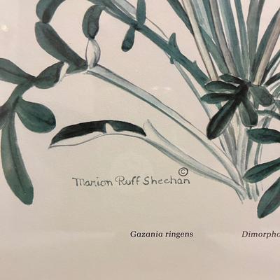 Two Marion Ruff Sheehan Botanical Prints (PC-BC)