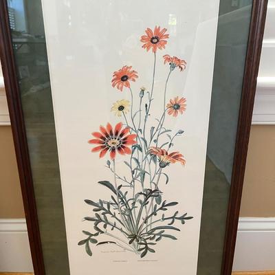 Two Marion Ruff Sheehan Botanical Prints (PC-BC)