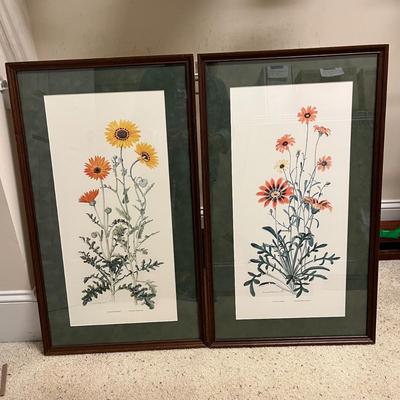Two Marion Ruff Sheehan Botanical Prints (PC-BC)