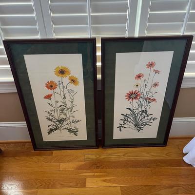 Two Marion Ruff Sheehan Botanical Prints (PC-BC)