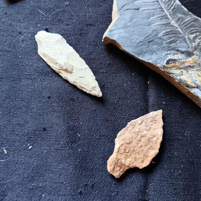 FOSSIL, ARROW HEADS, MARBLES AND MORE