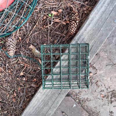 VARIOUS BIRD FEEDERS