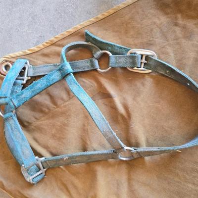 Vintage horse blanket with four old halters