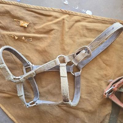 Vintage horse blanket with four old halters