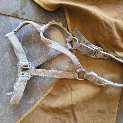 Vintage horse blanket with four old halters
